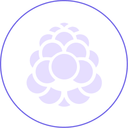 Gitberry Icon